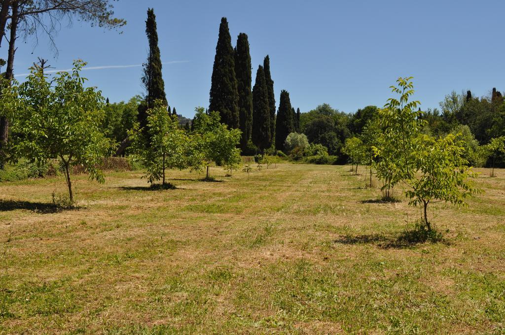 Visconte Apartment Floransa Oda fotoğraf