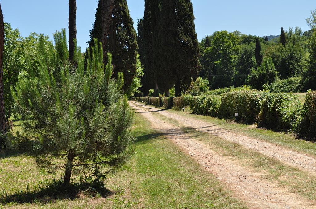 Visconte Apartment Floransa Oda fotoğraf