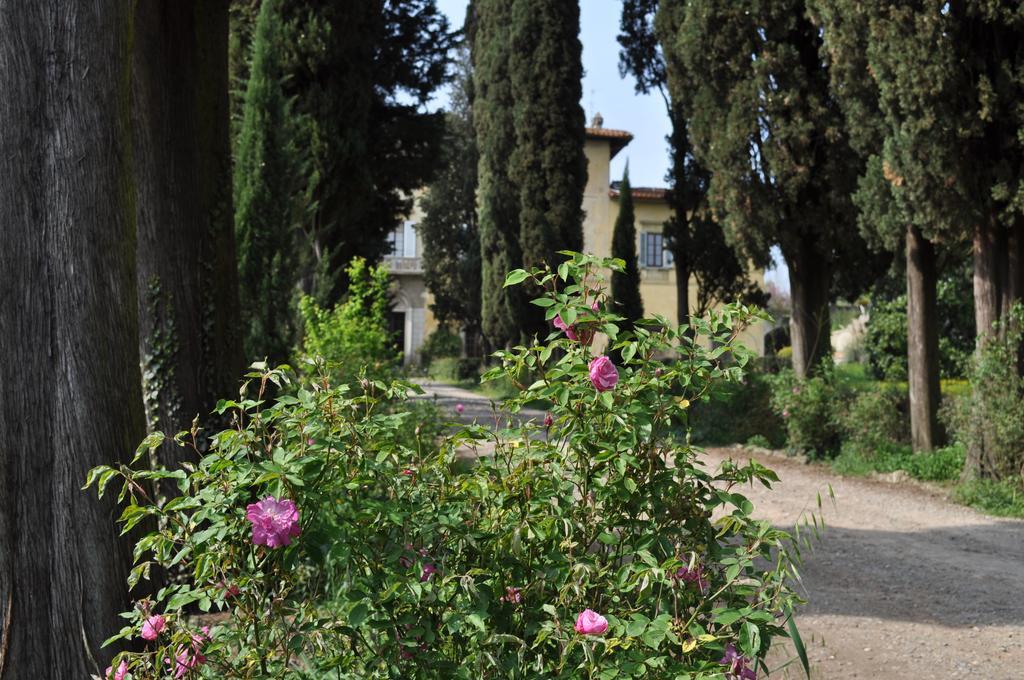 Visconte Apartment Floransa Oda fotoğraf